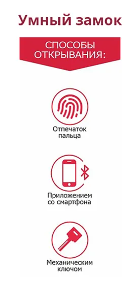 цвет